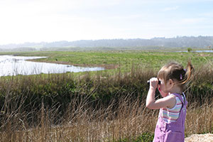 Humboldt Bay - photo copyright US Fish and Wildlife_Shannon Smith